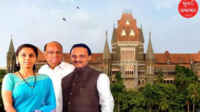 Bombay High Court verdict in Lavasa hill station case