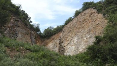 અરવલ્લી પર્વતમાળાના વિવાદ મુદ્દે સુપ્રીમ કોર્ટે લીધો સુઓમોટો, CJI કરશે સુનાવણી