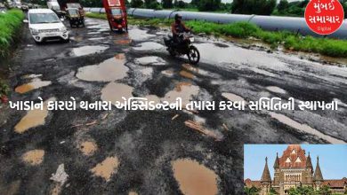 As per the directions of the High Court, a committee has been set up to investigate the accidents caused by Khada. Municipality formed committee