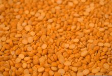 Gujarat cabinet meeting decision on tur procurement