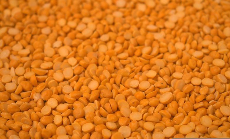 Gujarat cabinet meeting decision on tur procurement