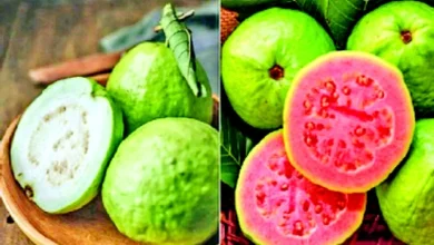 ડાયાબિટીસ માટે ગુલાબી અને સફેદ જામફળ, બ્લડ સુગર નિયંત્રણ