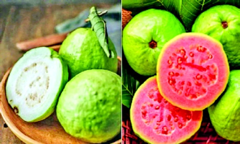 ડાયાબિટીસ માટે ગુલાબી અને સફેદ જામફળ, બ્લડ સુગર નિયંત્રણ