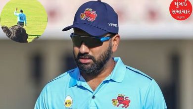 Who offered Vadapav to Rohit Sharma in the ongoing match? Rohit replied that...