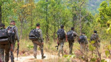 છત્તીસગઢના સુકમામાં સુરક્ષા દળોની મોટી કાર્યવાહી: અથડામણમાં ટોચના કમાન્ડર સહિત 12 નક્સલીઓનો સફાયો