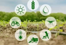 ભારતીય કૃષિ પેદાશોની નિકાસ અને આંતરરાષ્ટ્રીય વેપારને દર્શાવતું પ્રતિકાત્મક ચિત્ર.