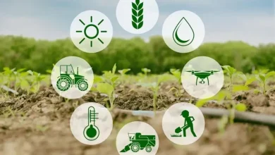 ભારતીય કૃષિ પેદાશોની નિકાસ અને આંતરરાષ્ટ્રીય વેપારને દર્શાવતું પ્રતિકાત્મક ચિત્ર.