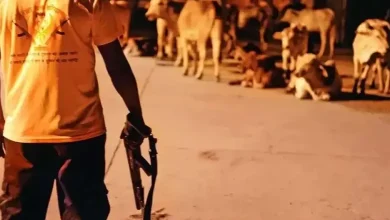 રાજકોટમાં હુમલામાં ઘાયલ ગૌરક્ષક અને પોલીસ કાર્યવાહી દર્શાવતી તસવીર.