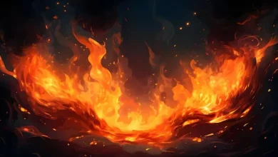 બેંગલુરૂમાં મિલકત વિવાદમાં ભાઈના ઘર પર પેટ્રોલ છાંટી આગ લગાડતા વ્યક્તિના CCTV ફૂટેજ.