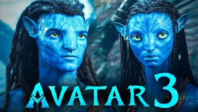 પ્રભાસની ધ રાજા સાબના તૂફાન વચ્ચે પણ અવતાર: ફાયર એન્ડ એશનો દબદબો યથાવત્, જાણો કોણે કેટલી કમાણી કરી