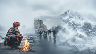 ગુજરાતમાં જોવા મળશે ઠંડીનો ચમકારો, ઠંડીમાં ઠુંઠવાયું ઉત્તર ભારત, જાણો મહારાષ્ટ્રનું હવામાન