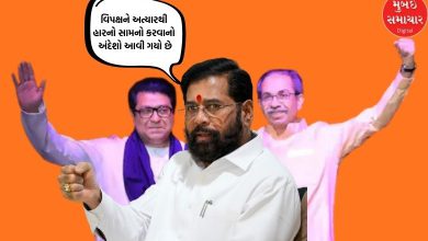 The opposition has sensed defeat: Eknath Shinde gave a reply to the Thackeray brothers