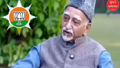 Former Vice President Hamid Ansari called Mahmood Ghaznavi an Indian robber, BJP attacked him harshly