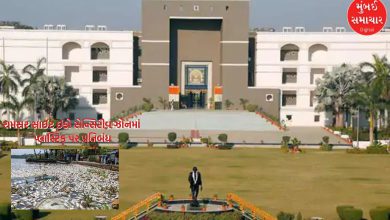Gujarat High Court directs ban on plastic in all Ramsar site eco-sensitive zones