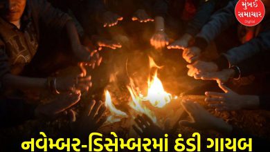 ગુજરાતીઓ ગુલાબી ઠંડી માટે તરસ્યા, રાજ્યમાં સતત બીજા વર્ષે નવેમ્બર-ડિસેમ્બરમાં શીતલહેર ગાયબ