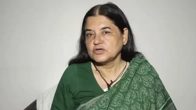 વાયુ પ્રદૂષણ અને ફટાકડા પર પ્રતિબંધ અંગે નિવેદન આપતા પૂર્વ મંત્રી મેનકા ગાંધી.