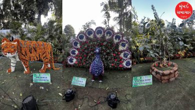 ભાયખલા રાણીબાગમાં પ્રદર્શિત વિવિધ રંગબેરંગી ફૂલો અને સુશોભિત છોડનું દ્રશ્ય.