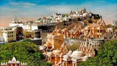 પાલિતાણા શત્રુંજય મહાતીર્થ અને આદિનાથ દાદાની આંગીના વિવાદને દર્શાવતું પ્રતિકાત્મક ચિત્ર.