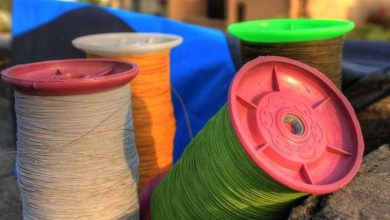 પ્લાસ્ટિક અને ચીની માંજા વિરુદ્ધ થાણે પાલિકાની કાર્યવાહી: છ દિવસમાં ૫૩,૫૦૦નો દંડ વસૂલ