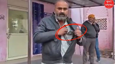 સર્પદંશ બાદ જીવતા કોબરા સાથે હોસ્પિટલ પહોંચ્યો રિક્ષા ચાલક, જુઓ Viral Video