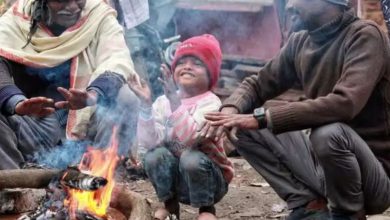 ગુજરાતમાં આજથી શરૂ થશે હાડ થીજવતી ઠંડી, મહારાષ્ટ્ર સહિત અન્ય રાજ્યોમાં કેવું રહેશે હવામાન