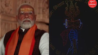 સોમનાથ મંદિરના આકાશમાં ડ્રોન શો દરમિયાન સર્જાયેલી આકર્ષક આકૃતિઓ અને પીએમ મોદીની દર્શન કરતી તસવીર.