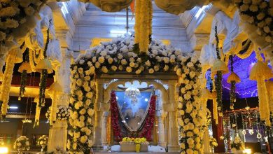 આજે બજરંગદાસ બાપાની 49મી પુણ્યતિથિ: બાપાના ચરણોમાં શીશ નમાવવા બગદાણામાં ઉમટશે માનવ મહેરામણ