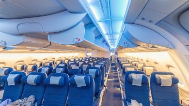 Why are flight seats always blue? 99 percent of people don't know the reason behind this...