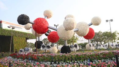 Ahmedabad Flower Show Income only 11 crores against expenditure of 17 crores
