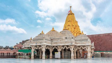 શક્તિપીઠ અંબાજીમાં પોષી પૂનમની ધામધૂમથી ઉજવણી, માં અંબાના પ્રાગટ્યોત્સવે ભક્તિનું ઘોડાપૂર