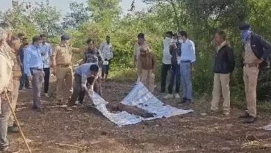 ધારીના ભાડેર ગામમાં ખેતરમાં દાટેલા યુવકનો મૃતદેહ મળતા ખળભળાટ, હત્યાની આશંકાએ પોલીસ દોડતી થઈ