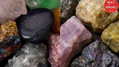 Will there be any announcement for the rare earth sector in Budget 2026? India has abundant reserves of these minerals