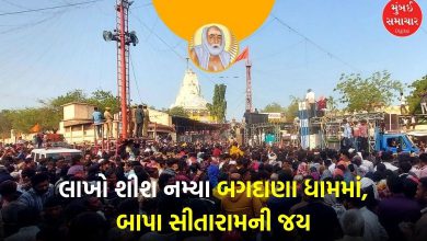 bajrangdas bapa bagdana punyatithi 49th