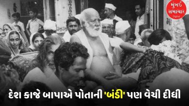 જ્યારે દેશ માટે બાપાએ પોતાની 'બંડી' સુદ્ધાં લીલામ કરી દીધી! બજરંગદાસ બાપાની રાષ્ટ્રસેવાની અમર ગાથા