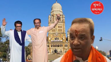 મુંબઈ મહાનગરપાલિકા ચૂંટણી: વોર્ડ નંબર 194માં વર્ચસ્વ તો ઠાકરે પરિવારનું જ...