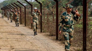 શું છે આ NDF ફેન્સિંગ? જેનાથી હવે બાંગ્લાદેશ સરહદે હવે પરિંદું પણ પર મારી શકશે નહીં!