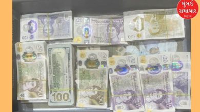 Millions of dollars, pounds and other foreign currencies seized from Ahmedabad airport, connection to drugs-cyber fraud