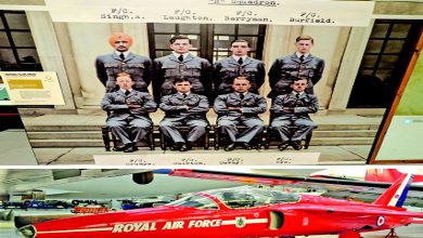 એક નજર ઈધર ભી...: `આરએએફ' મ્યુઝિયમ: સિંઘ ઈઝ કિગ