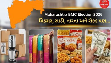 મિક્સર, સાડી, નાસ્તા અને રોકડ પણ, જાણો મતદાનની આગલી રાત્રે મહારાષ્ટ્રમાં શું થયું?