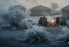 નલિયા 6.4 ડિગ્રી સાથે ઠીંગરાયું: ગુજરાતમાં હાડ થિજવતી ઠંડી, ઉત્તર ભારતમાં રેકોર્ડબ્રેક શીતલહેર