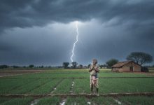 ગુજરાતમાં ભરશિયાળે માવઠાની આગાહી, જાણો દેશભરમાં કેવું રહેશે હવામાન