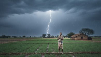 ગુજરાતમાં ભરશિયાળે માવઠાની આગાહી, જાણો દેશભરમાં કેવું રહેશે હવામાન