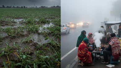ગુજરાત સહિત આ રાજ્યમાં આજે પણ માવઠાની આગાહી, પહાડોમાં હિમવર્ષા