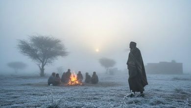 ઉત્તરાયણ પૂર્વે ગુજરાત ઠંડુગાર: નલિયા 7 ડિગ્રી સાથે રાજ્યનું સૌથી ઠંડું શહેર, હજી 7 દિવસ ઠંડીનો કહેર રહેશે