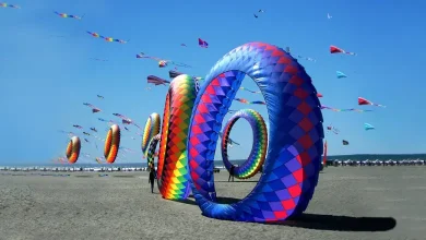 international kite festilval to held at dholavira kachchh