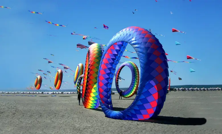 international kite festilval to held at dholavira kachchh