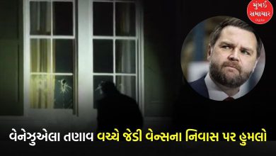 Stones pelted at US Vice President's home after statement on Venezuela: Suspect arrested