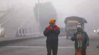 kachchh news coldwave hits naliya coldest place