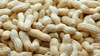 કચ્છના કેટલા ખેડૂતો પાસેથી સરકારે કેટલા મણ મગફળીની ટેકાના ભાવે ખરીદી કરી ?