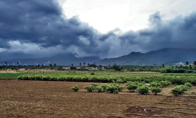 વરસાદના કારણે ખેતરમાં પલળેલો પાક અને વાદળછાયા આકાશ નીચે ચિંતિત ખેડૂતનું દ્રશ્ય.